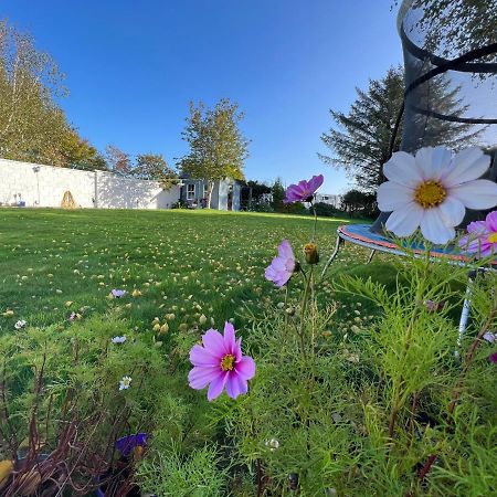 Hillview Bed and Breakfast Enniskerry Εξωτερικό φωτογραφία