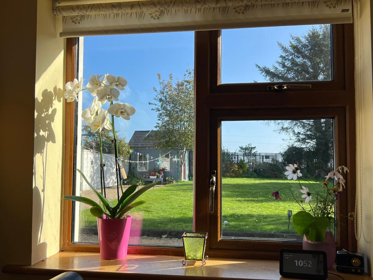 Hillview Bed and Breakfast Enniskerry Εξωτερικό φωτογραφία